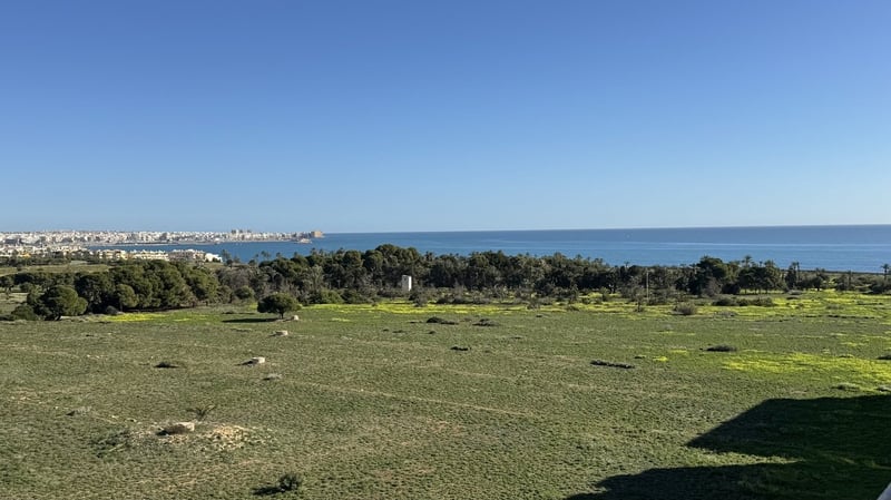 Apartment in Villamartin - view 1