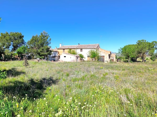 Farm, Ranch or Equestrian in Yecla - view 1
