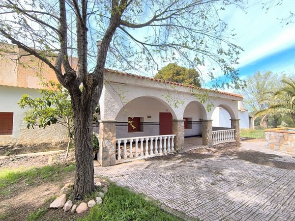 Farm, Ranch or Equestrian in Yecla - view 1