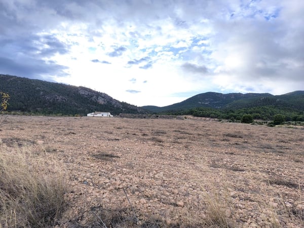 Farm, Ranch or Equestrian in Carche - view 1