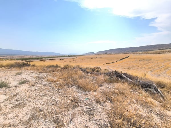 Farm, Ranch or Equestrian in La Zarza - view 1