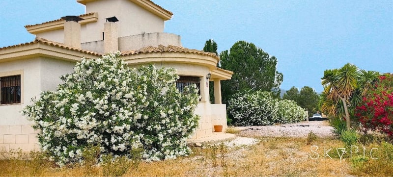 Villa in Pinoso - view 1