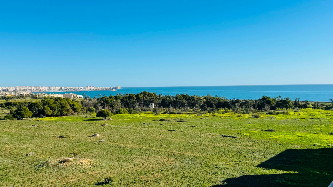 Penthouse in Punta Prima - Image 2