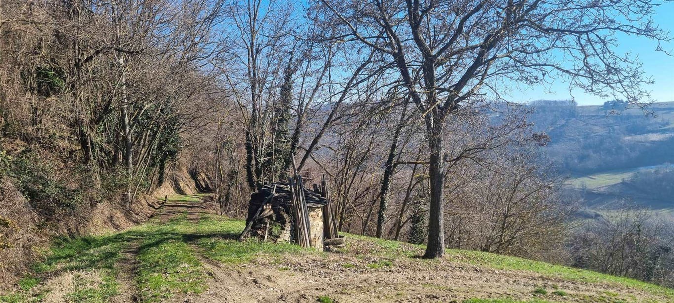 Farm, Ranch or Equestrian in Roccaverano - Image 2