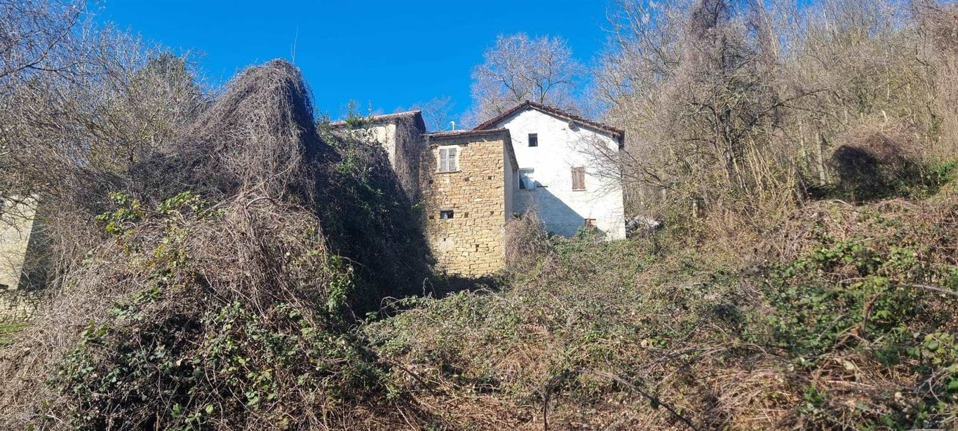 Farm, Ranch or Equestrian in Roccaverano - Image 3
