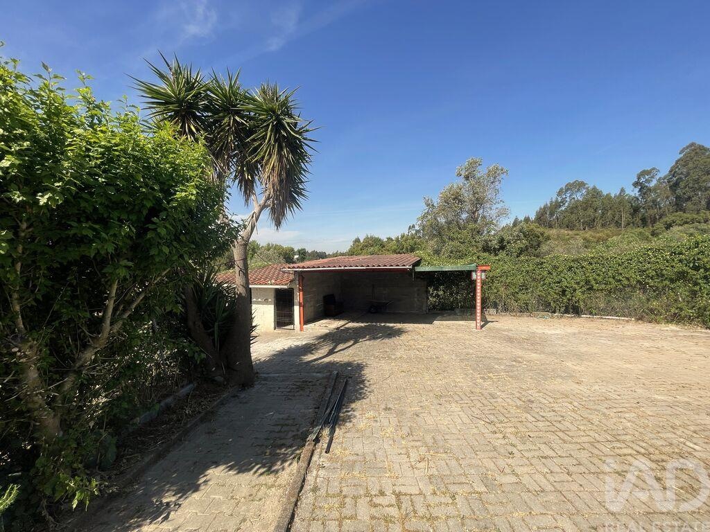 House in Asseiceira - Image 3