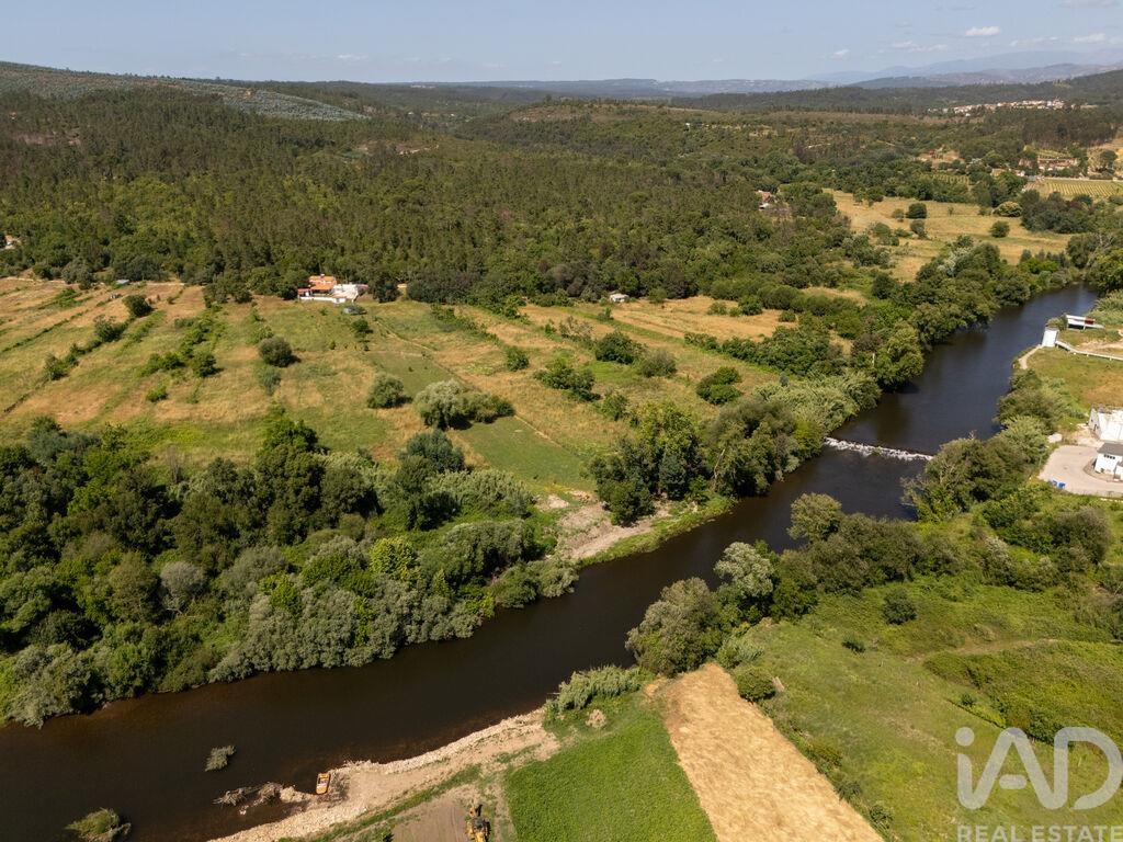 Farm, Ranch or Equestrian in Sarzedo - Image 3