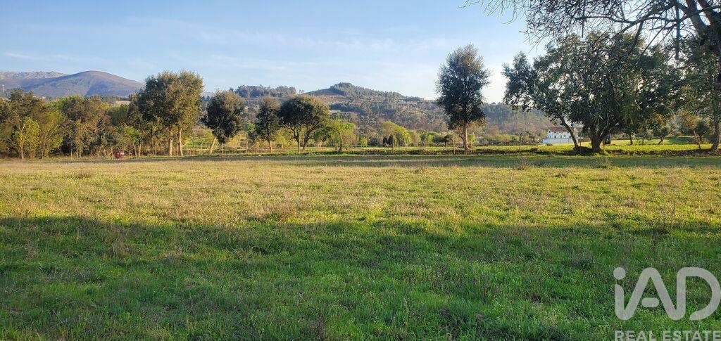 Farm, Ranch or Equestrian in Telhado - Image 3