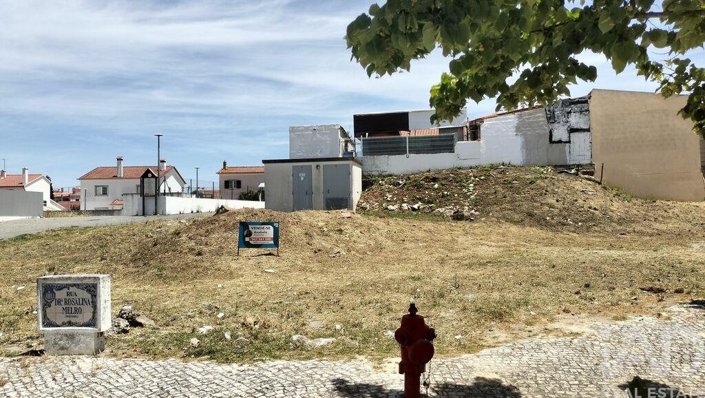 Land in Santarem - Image 3