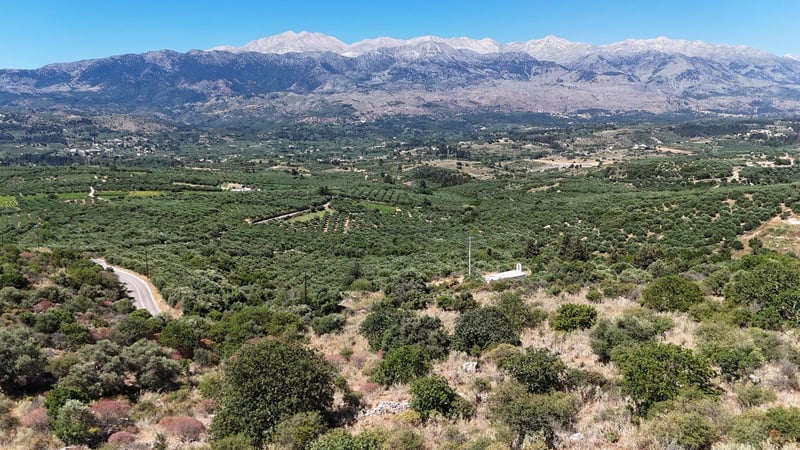 Land in Litsardha - view 1