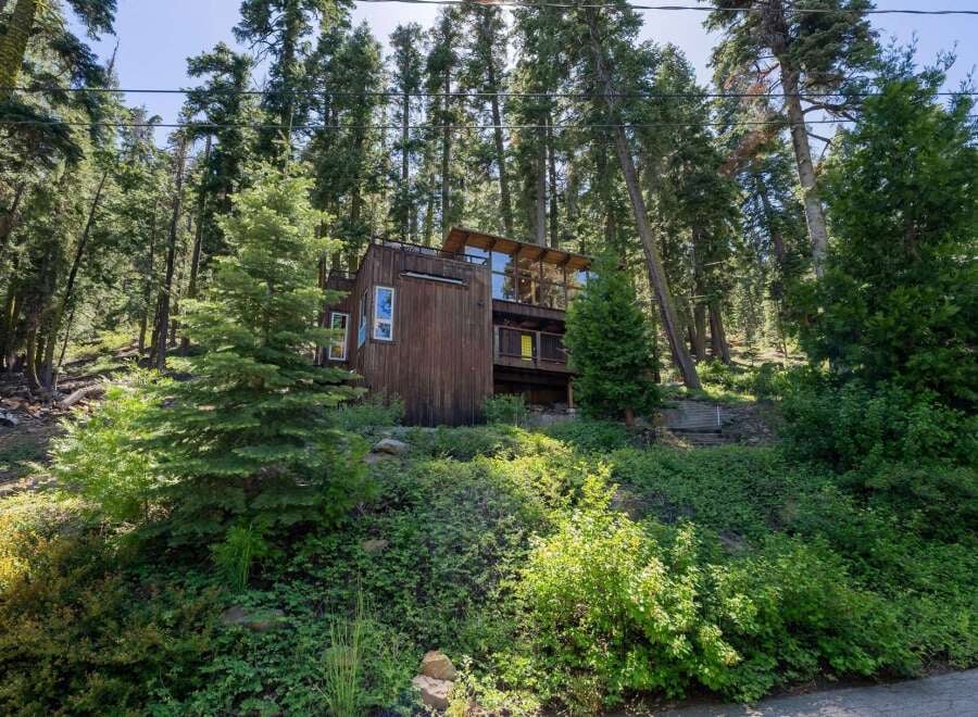 House in Pine Land - Image 3