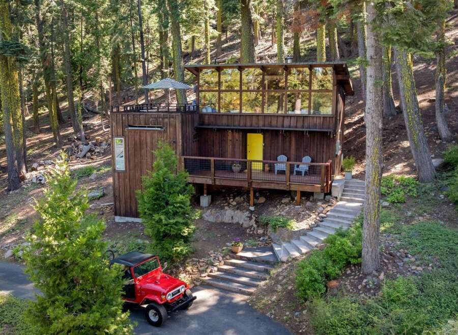 House in Pine Land - Image 2