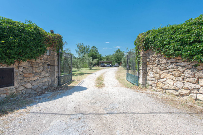 House in Arce - Image 3