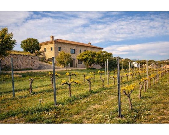 Farm, Ranch or Equestrian in Benitachell - view 1