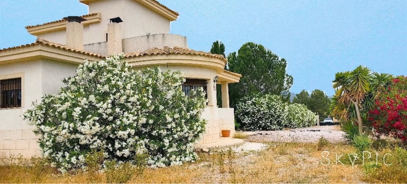 Villa in Pinoso - view 1