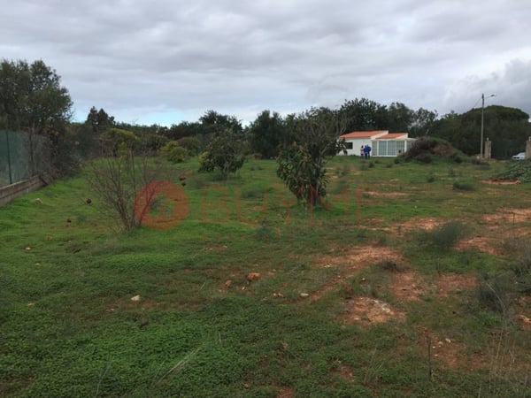 Land in Loule - view 1
