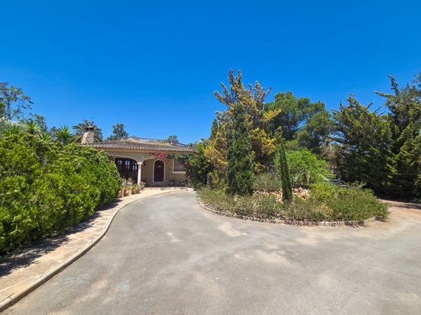 Villa in Elche - view 1