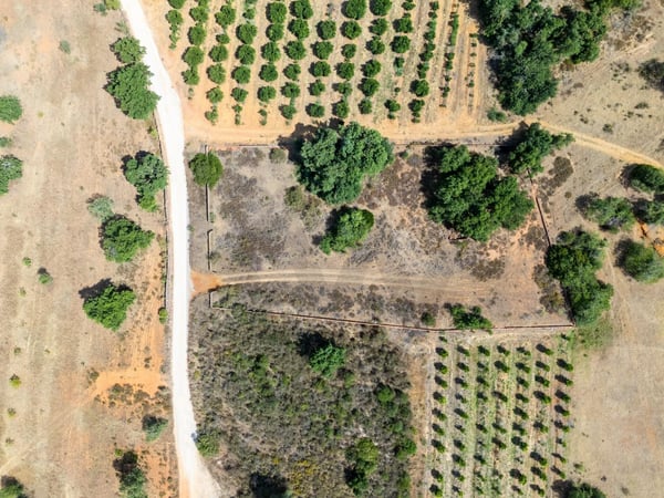 Land in Vala - view 1