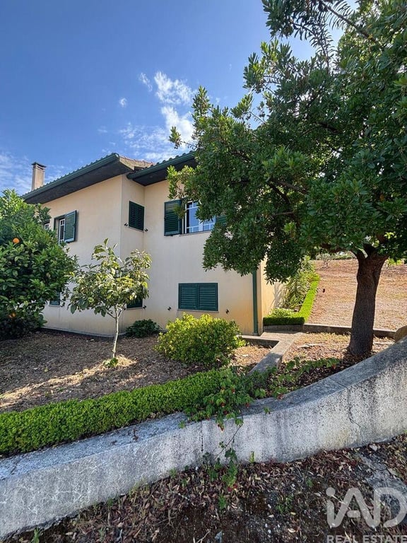 House in Alvito da Beira - Image 2