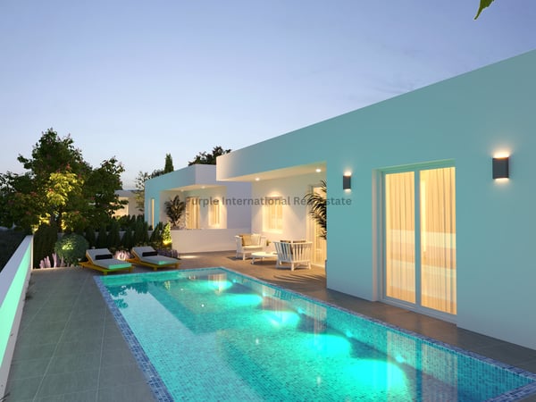 House in Frenaros - view 1