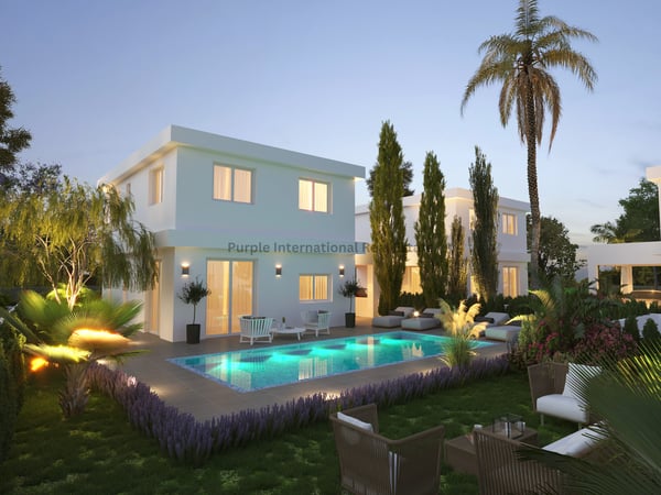 House in Frenaros - view 1