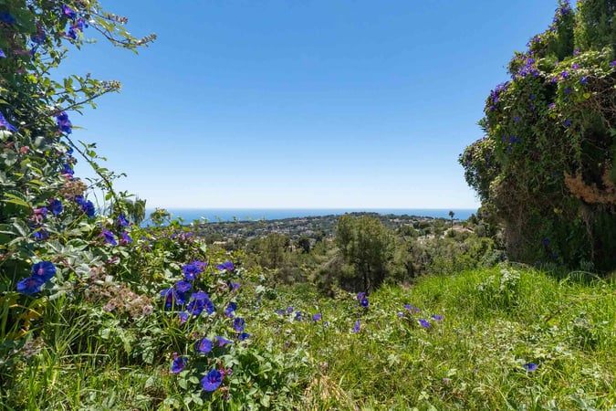 Land in Teulada - view 1