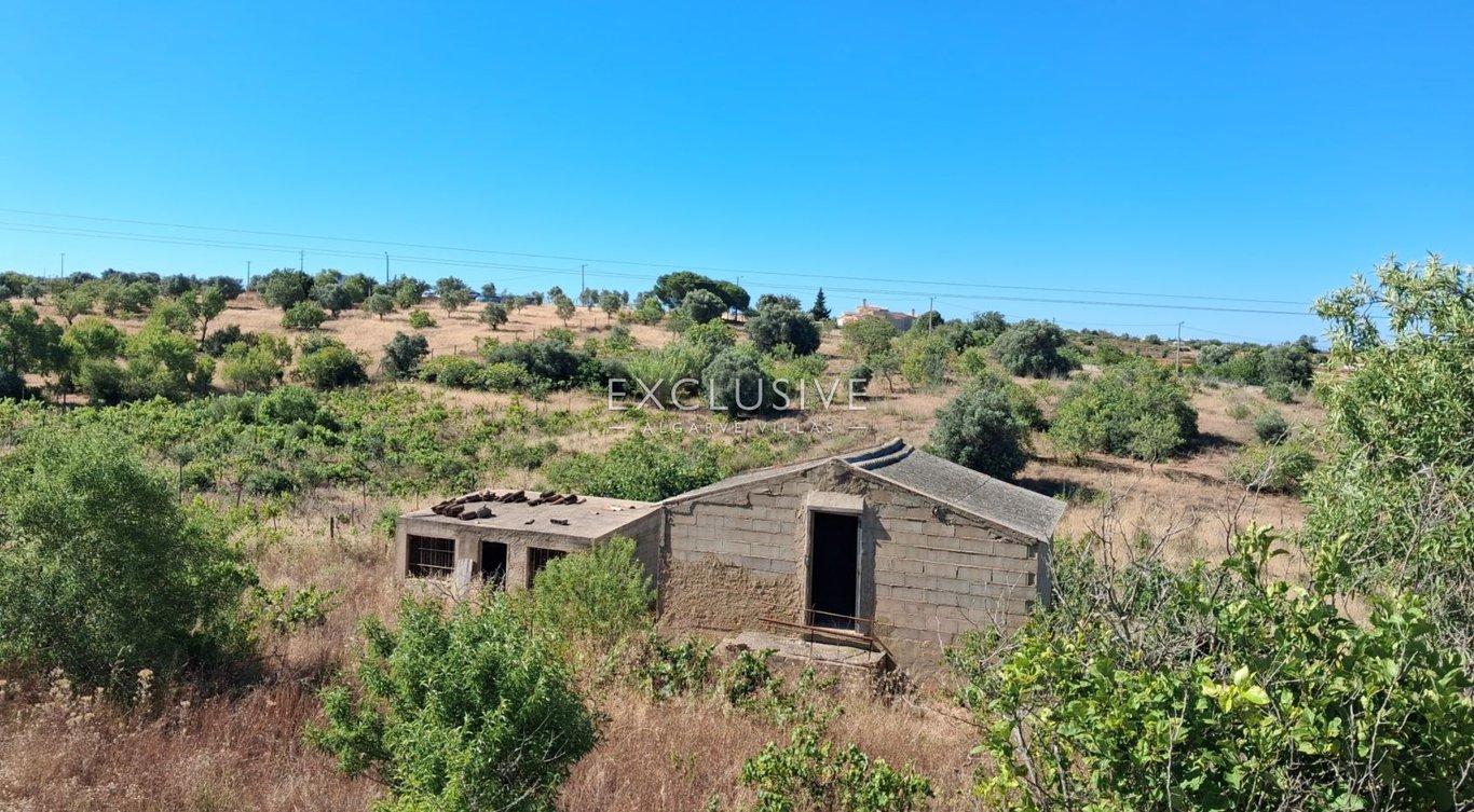 Land in Estombar - Image 3