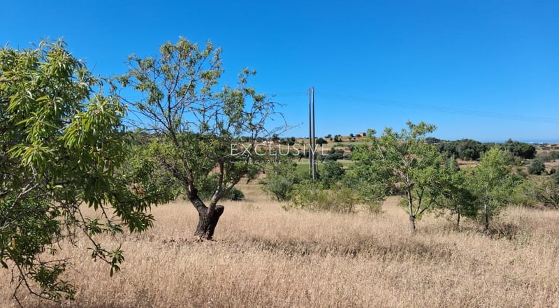 Land in Estombar - view 1