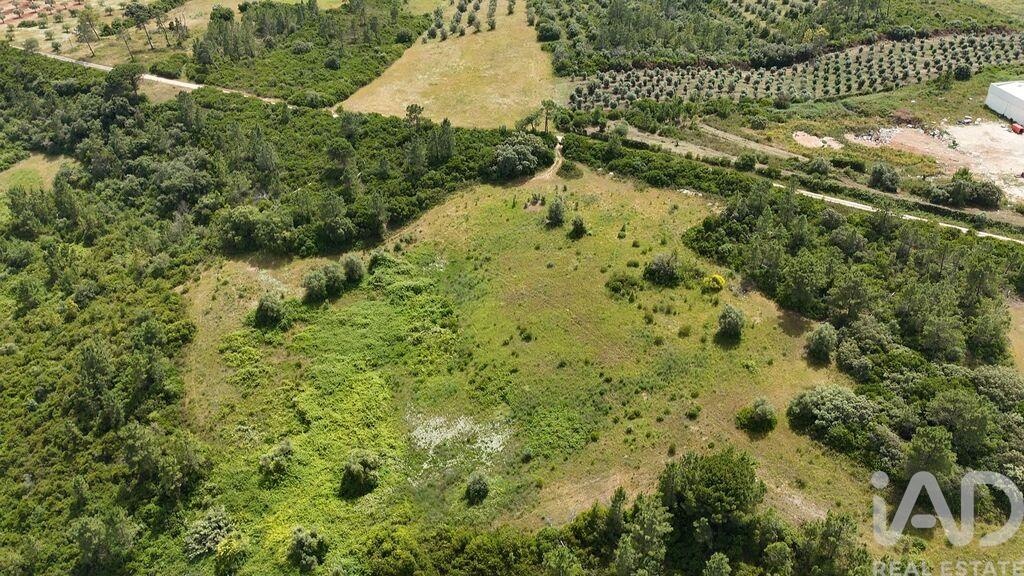 Land in Malaqueijo - Image 3
