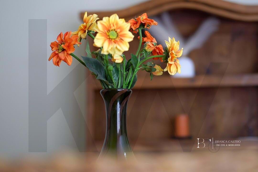 Apartment in Vila Real de Santo Antonio - Image 2