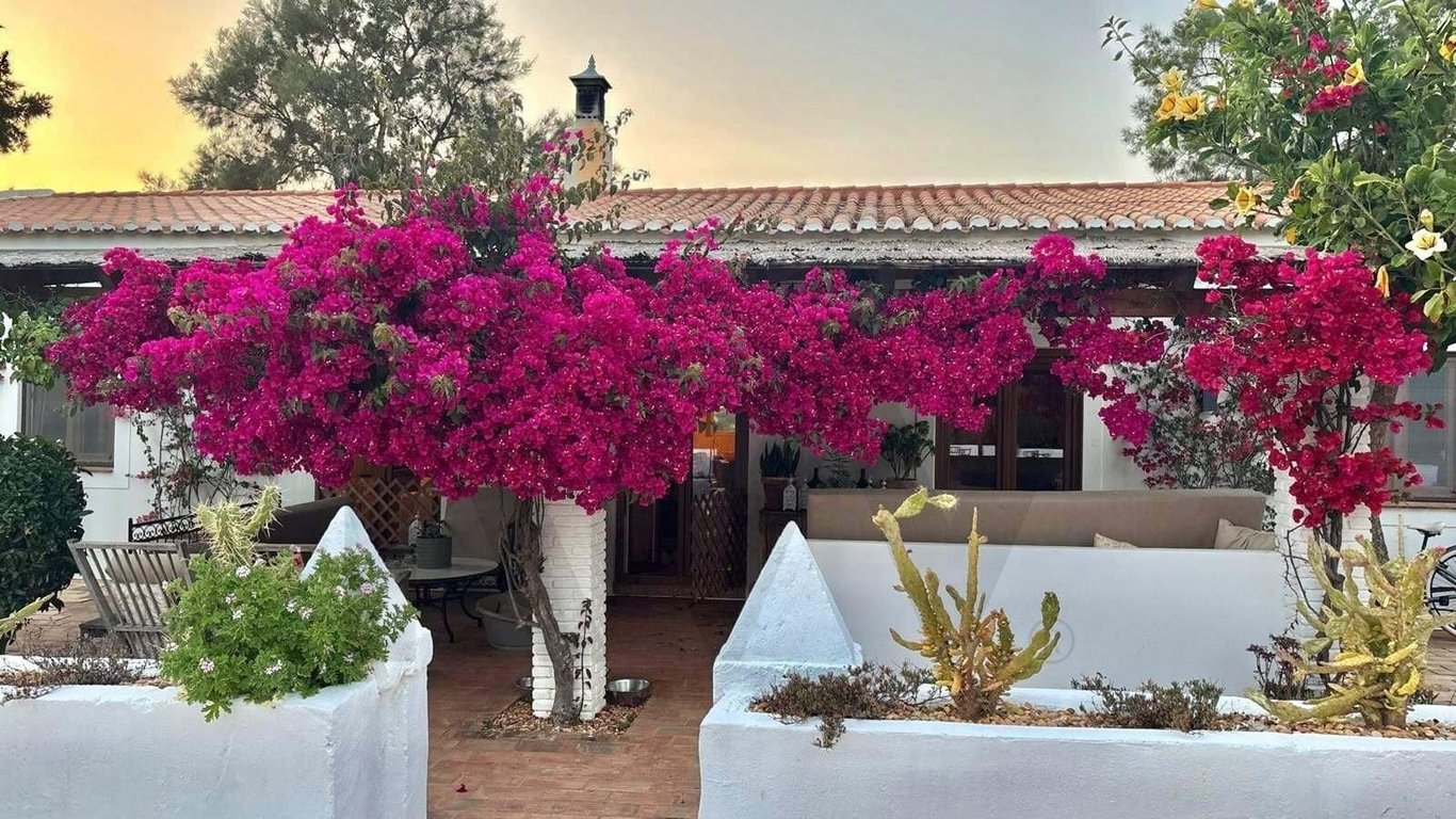 House in Estombar