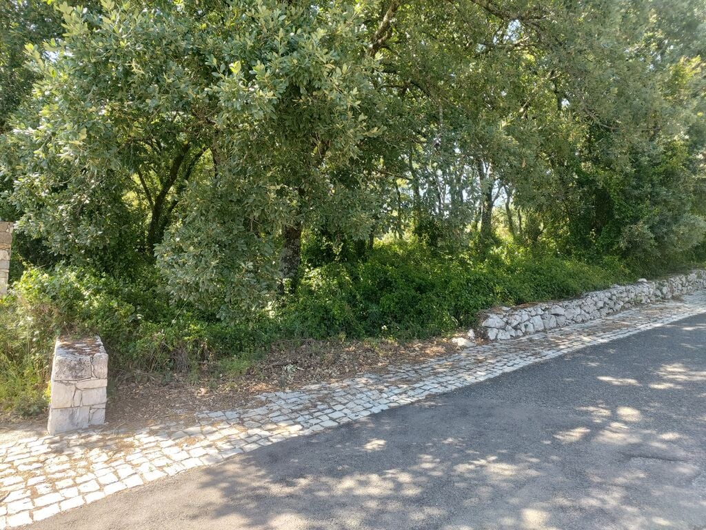 Land in Alvados - Image 3
