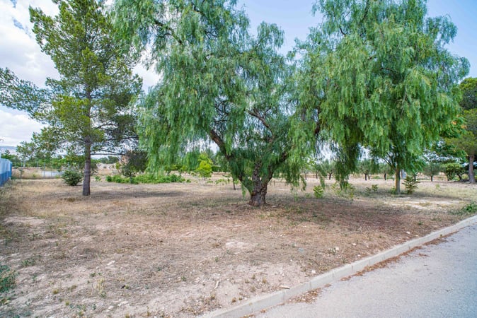 Land in Ubeda - view 1