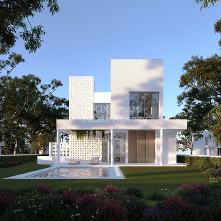 House in Perivolia - view 1
