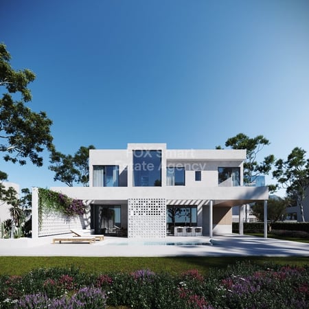 House in Perivolia - view 1