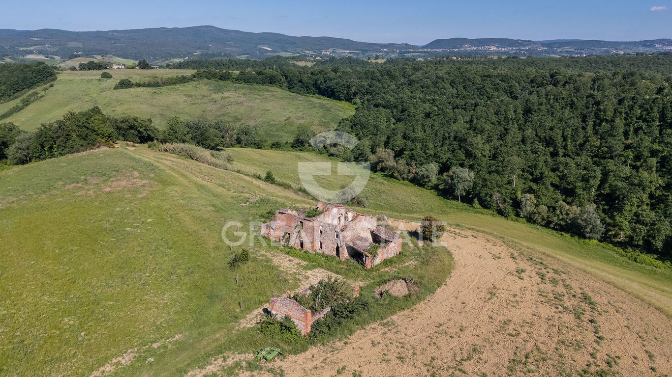 House in Asciano - Image 3