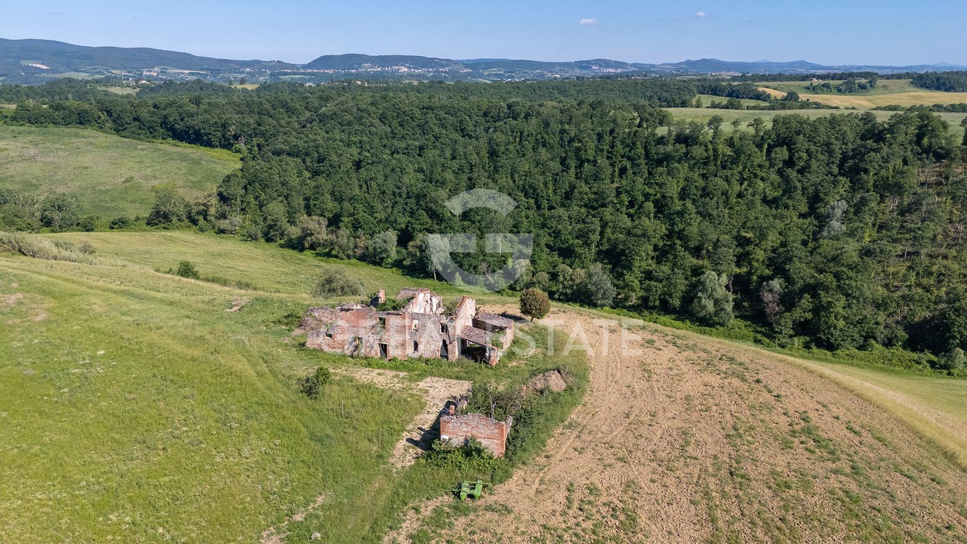 House in Asciano - Image 2