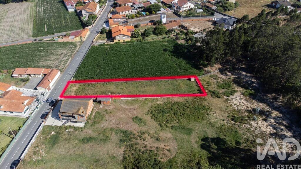 Land in Pardilho - Image 2