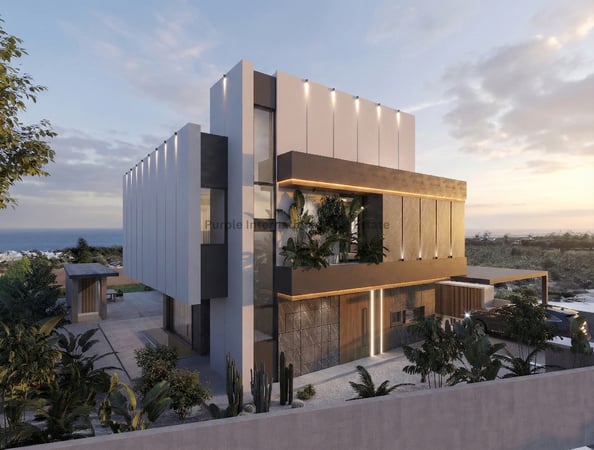 House in Pegeia - view 1