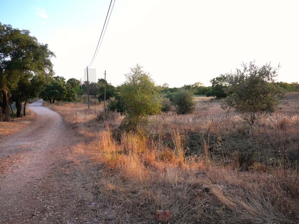 Land in Silves - view 1