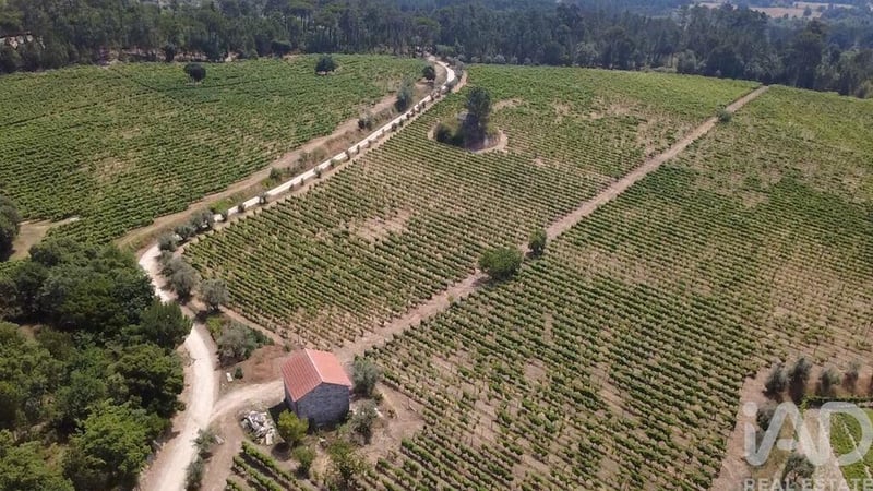 Farm, Ranch or Equestrian in Carvalhal Redondo - view 1