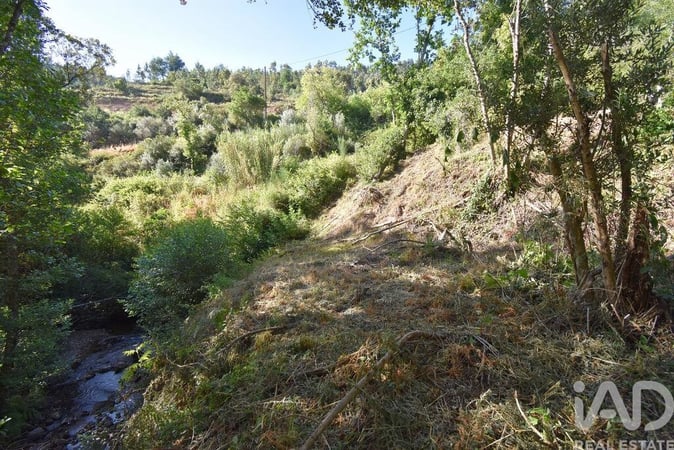 Land in Espinhal - view 1