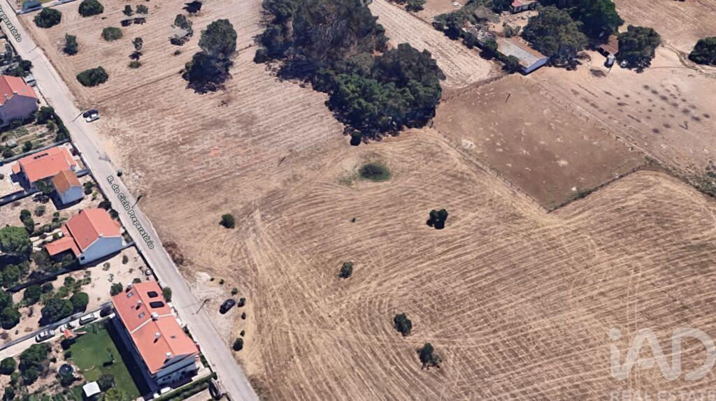 Land in Montijo - Image 3