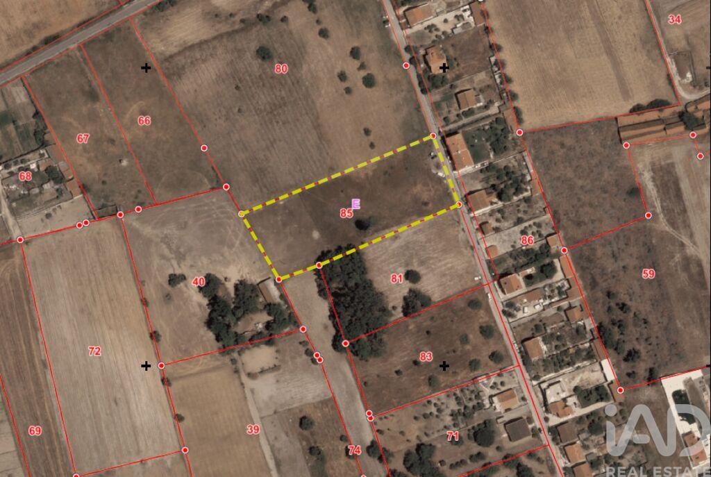 Land in Montijo - Image 2