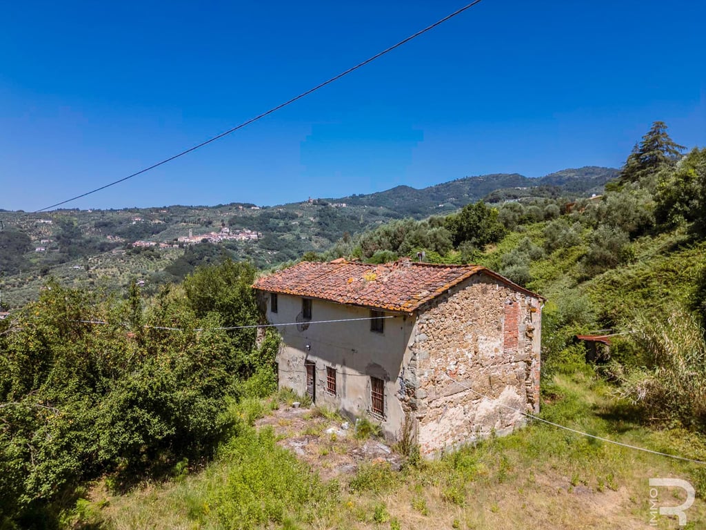 House in Massa e Cozzile - Image 2