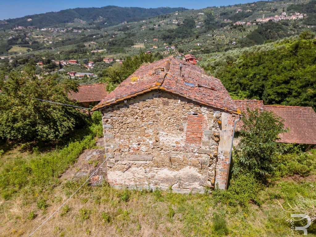 House in Massa e Cozzile - Image 3