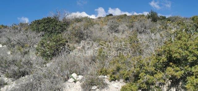 Land in Agios Therapon - view 1
