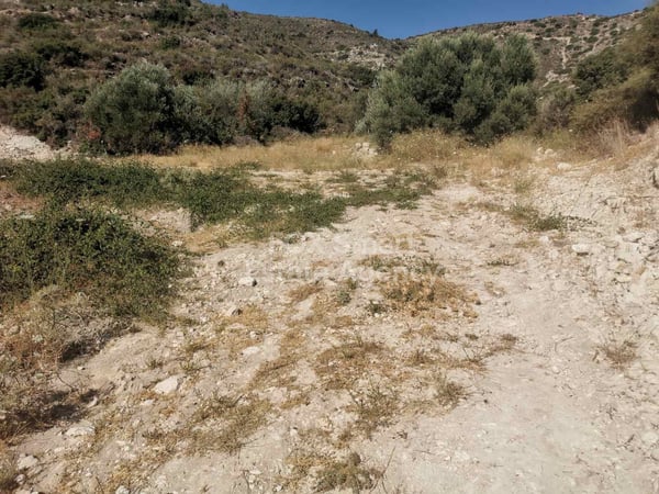 Land in Palodeia - view 1