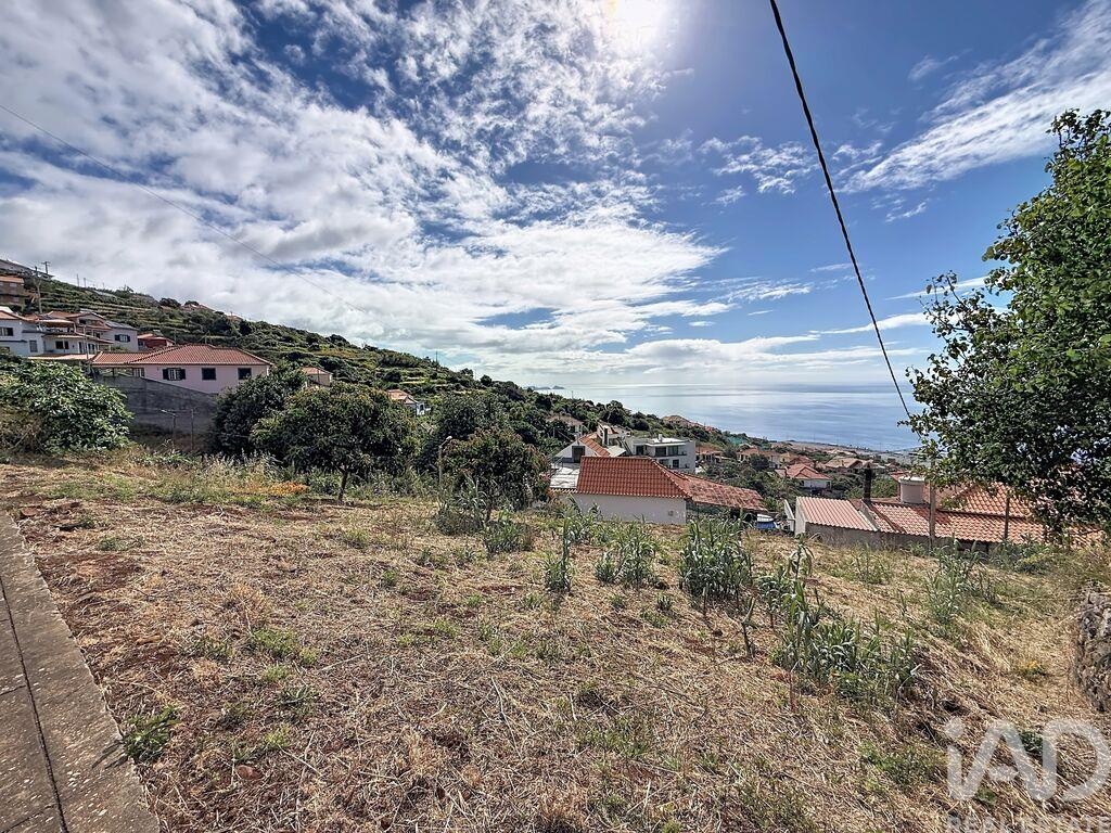 Land in Santa Cruz - Image 2