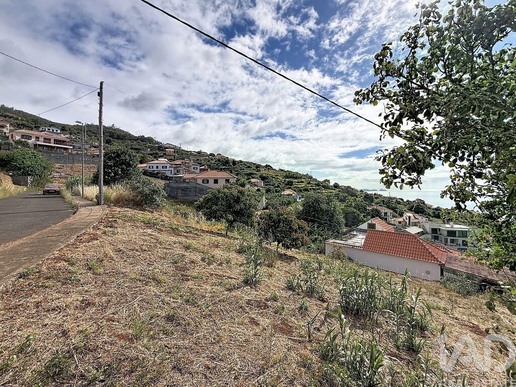 Land in Santa Cruz - Image 3